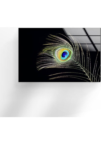 Tavus Kuşu Tüyü Cam Duvar Tablosu indirimleri
