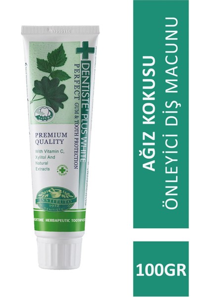 Dentise Plus Nighttime 100gr Diş Macunu