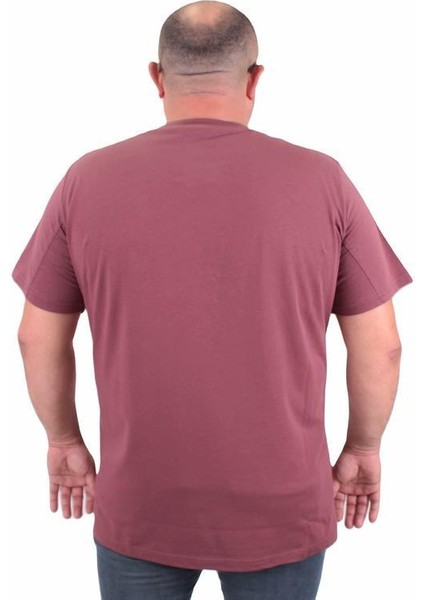 Erkek Büyük Beden Sıfır Yaka Tişört Believe 23180 Eflatun modelleri