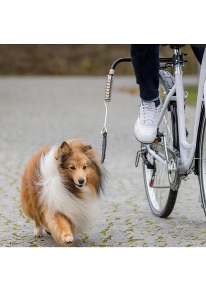 Bisiklet Için Köpek Yürütme Aparatı S M