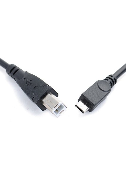 M USB 2.0 Standart B Erkek USB Mikro 5 Pin 5pin Erkek Veri Kablosu Tablet Hub Sabit Disk Yazıcı Için (Yurt Dışından) fırsatları