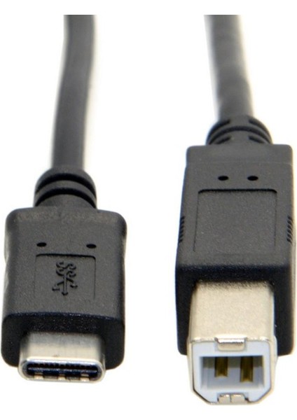 Tip C Erkek Konnektör USB 2.0 B Tipi Erkek Veri Kablosu Adaptörü Cep Telefonu Yazıcı Sabit Disk Dosya Transferi Hızlı Kablo 1 M 3 Ft (Yurt Dışından)