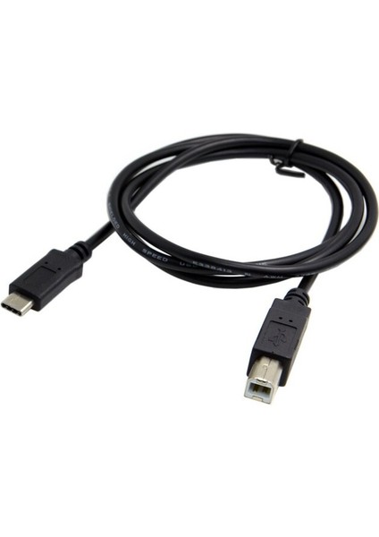 Tip C Erkek Konnektör USB 2.0 B Tipi Erkek Veri Kablosu Adaptörü Cep Telefonu Yazıcı Sabit Disk Dosya Transferi Hızlı Kablo 1 M 3 Ft (Yurt Dışından) modelleri