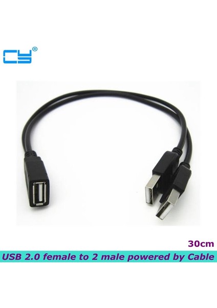 30CM USB Y Bilgisayar Bir Nokta Iki Veri Güç Kablosu, Çift USB Y Uzatma Şarj Kablosu, Usb2.0-A Dişi - 2 A Erkek Dağıtıcı (Yurt Dışından)
