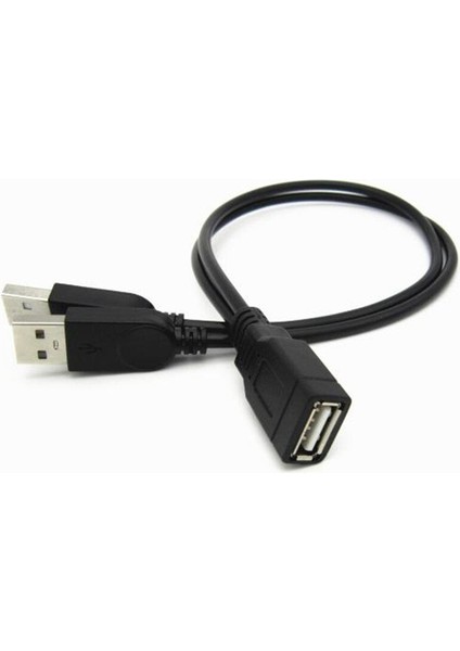 30CM USB Y Bilgisayar Bir Nokta Iki Veri Güç Kablosu, Çift USB Y Uzatma Şarj Kablosu, Usb2.0-A Dişi - 2 A Erkek Dağıtıcı (Yurt Dışından)