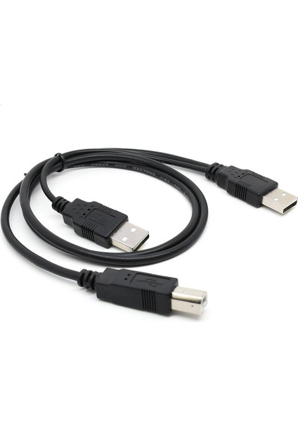 80 cm Çift USB 2.0 Erkek - Yazıcı ve Tarayıcı ve Harici Sabit Disk Sürücüsü Için USB Standart B Erkek Y Kablosu (Yurt Dışından) fiyatları