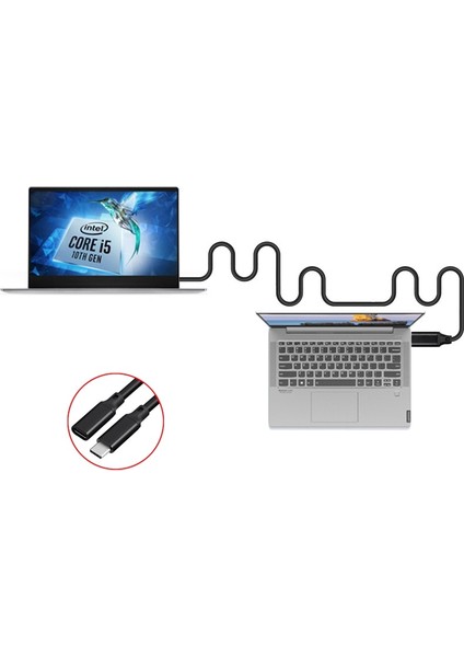 1m 2m 10GBPS Gen2 Tip-C USB 3.1 Erkek Usb-C Dişi Uzatma Veri 100W Şarj Kablosu Uzatma Kablosu Macbook/anahtar/telefon Için (Yurt Dışından)