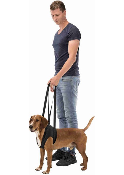 Köpek Yürütme Yardımcısı 55 65 cm M Siyah