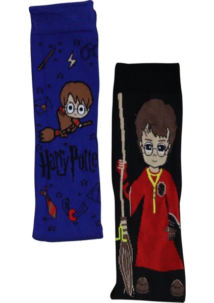 Fuddy Moda 2'li Harry Potter Desenli Renkli Çorap Seti