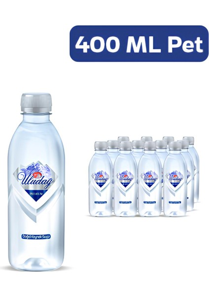 Su Premium Şişe 400 ml Paketsu