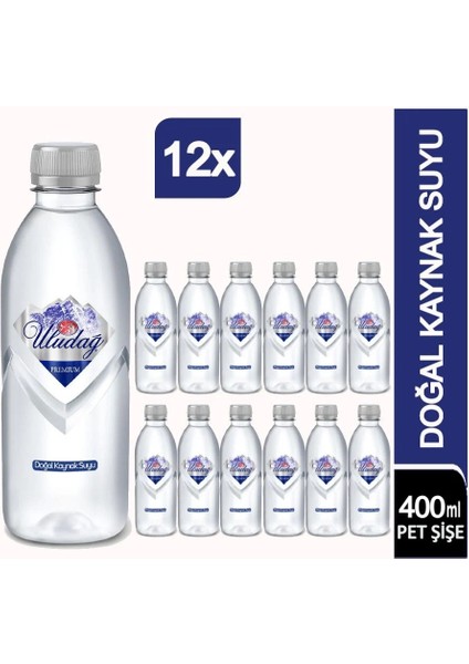 Su Premium Şişe 400 ml Paketsu modelleri