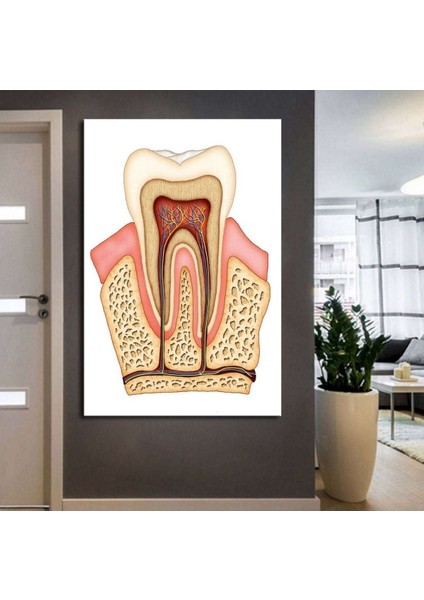 Ağız ve Diş Polikliniği, Dişçi Tabloları Dekoratif Diş, Dekoratif Dişçi, Dişçi Dekorasyonu DSC186