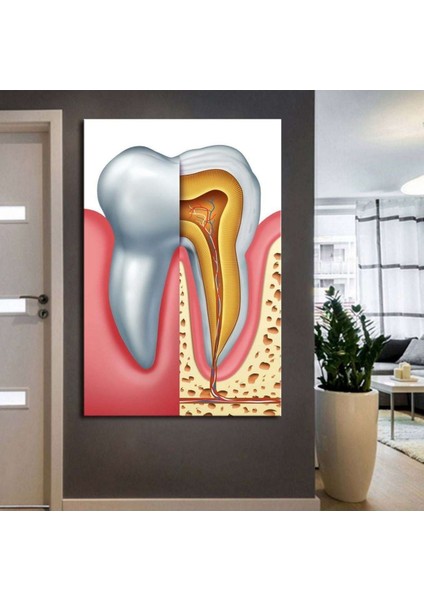 Ağız ve Diş Polikliniği, Dişçi Tabloları Dekoratif Diş, Dekoratif Dişçi, Dişçi Dekorasyonu DSC183