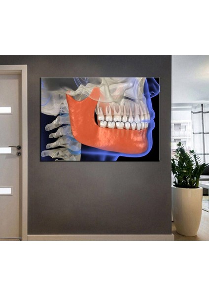 Ağız ve Diş Polikliniği, Dişçi Tabloları Dekoratif Diş, Dekoratif Dişçi, Dişçi Dekorasyonu DSC194