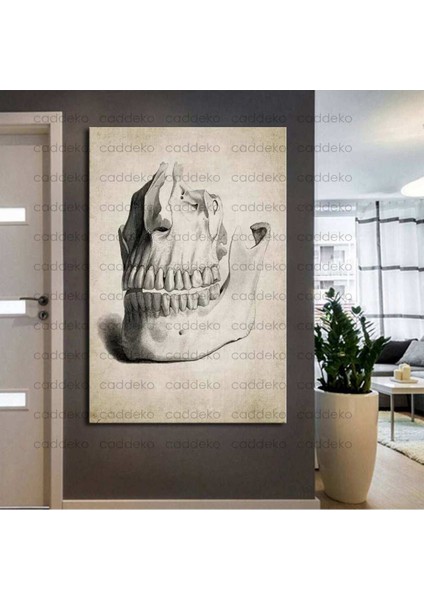 Ağız ve Diş Polikliniği, Dişçi Tabloları Dekoratif Diş, Dekoratif Dişçi, Dişçi Dekorasyonu DSC361