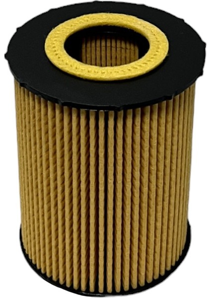 Bmw 5 Serisi E60, E61 (540 I, 550 I) 2005-2010 Yağ Filtresi