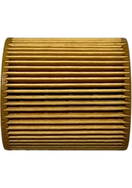 Bmw 3 Serisi F30, F31, F34 (320 I, 328 I) 2011-2019 Yağ Filtresi fırsatları