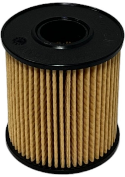 Fiat Scudo (2.0 D Multijet 88-94-100-120 Kw) 2007-2016 Yağ Filtresi modelleri