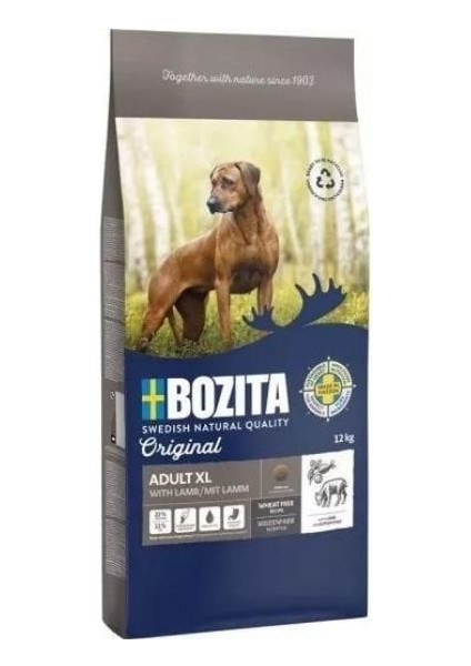 Original Adult Xl Kuzu Etli Yetişkin Köpek Maması 12 kg