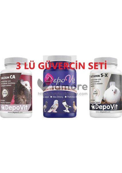 3'Lüdirenç Seti