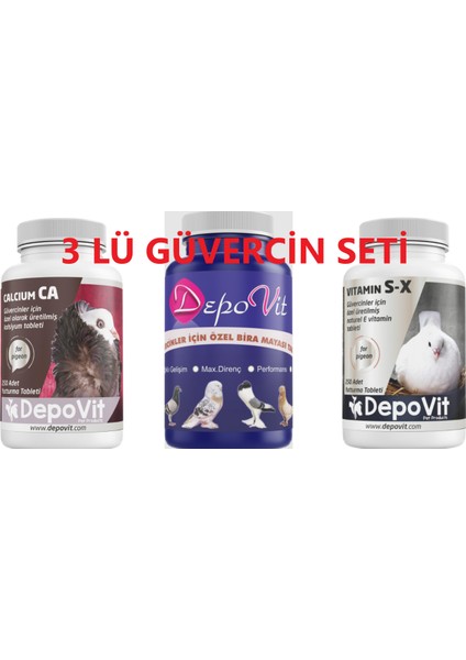 3'Lüdirenç Seti