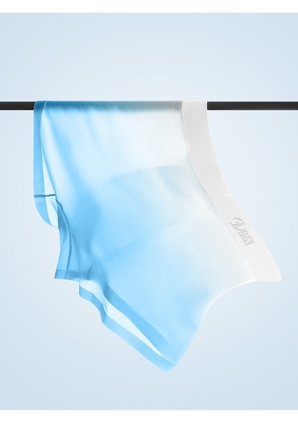 Eces Design Dikişsiz Buz Ipek Ter Uzaklaştıran Spor Özel Tasarım Erkek Iç Giyim 3 Parça 1000 Boxer