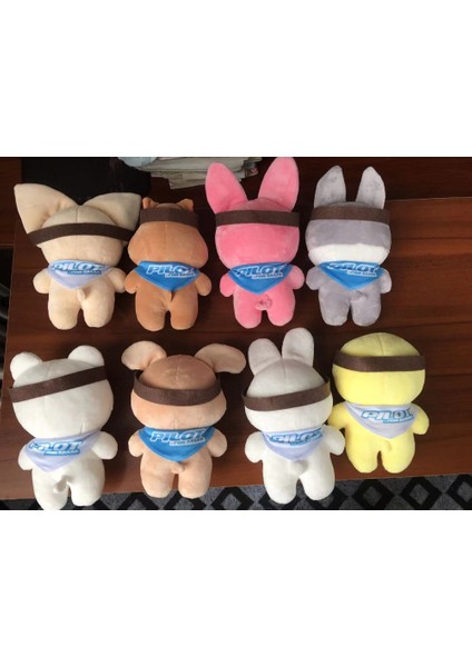 Kpop Sokak Çocukları Pılot Skzoo Peluş Bebek 3. Fanmeeting Koleksiyonu Bebek Doldurulmuş Oyuncaklar 20 cm (Yurt Dışından)