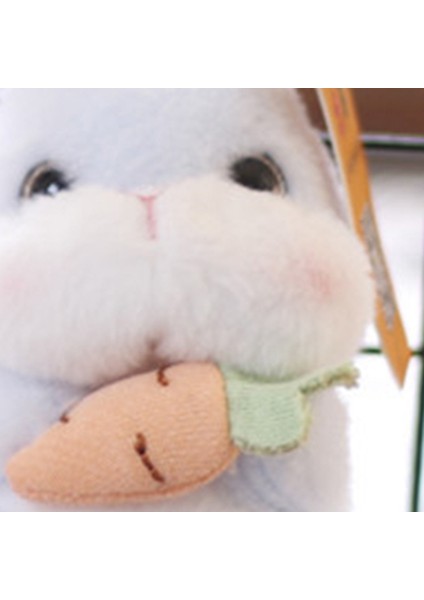 Tavşan Peluş Oyuncak Güzel Ifade Doldurulmuş Hayvan Peluş Tavşan Bebek Anahtarlık (Yurt Dışından) fiyatları