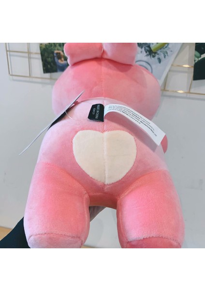 Nyt 1 Adet 35 cm Kpop Bts Tata Cooky Yumuşak Peluş Doldurulmuş Bebek Atmak Yastık Kanepe Dekor (Yurt Dışından)