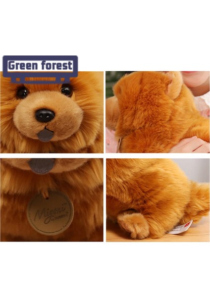 Yeşil Orman Yavrusu Doldurulmuş Oyuncak Yaratıcı Chow Chow Köpek Dolması Bebek Peluş Oyuncak (Yurt Dışından)