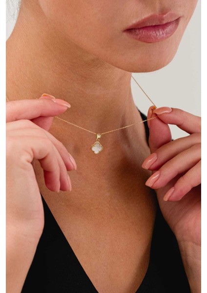 14 Ayar Altın Singapur Zincir Sedef Taşlı Yonca Kolye fiyatları