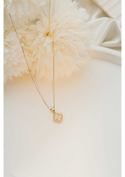 14 Ayar Altın Singapur Zincir Sedef Taşlı Yonca Kolye fırsatları