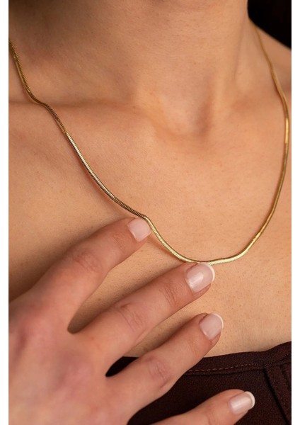 14 Ayar Balıksırtı Italyan Kadın Altın Zincir Balıksırtı Kolye fiyatları