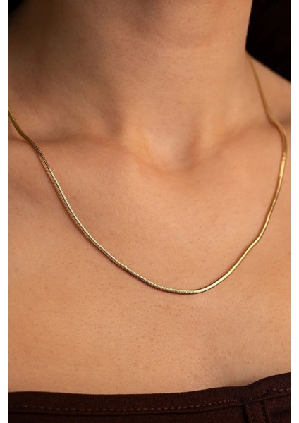 14 Ayar Balıksırtı Italyan Kadın Altın Zincir Balıksırtı Kolye fırsatları