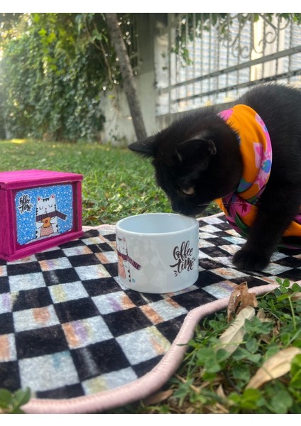 Evcıl Hayvan Mama Altı Paspası - (70 X 36 ) Pembe