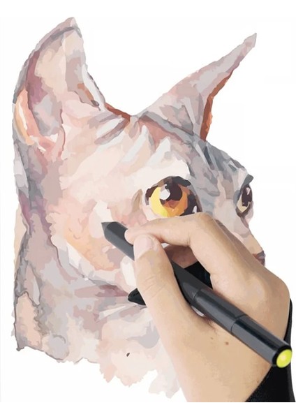 Al Sanatçı Çizim Eldiveni Iki Parmak Eldiven Sanat Çizim Eldivenleri 2 Parmak Bulaşma Önleyici Sol ve Sağ El Siyah 1 Parmak Kirlenme Önleyici (Yurt Dışından) modelleri