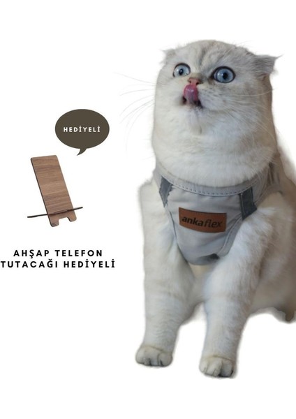 Kedi Göğüs Tasması Kedi Gezdirme Tasması Kediler Için