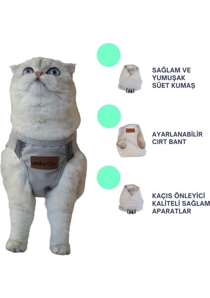 Kedi Göğüs Tasması Kedi Gezdirme Tasması Kediler Için