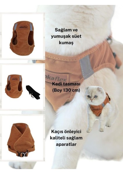 Kedi Göğüs Tasması Kedi Gezdirme Tasması Kediler Için