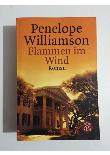 Flammen Im Wind - Penelope Williamson