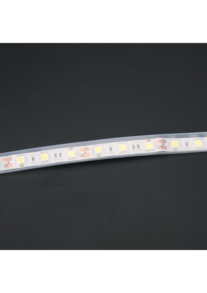 Adet 1m 60-Led 5050 Md Ampul Şeridi Su Geçirmez Beyaz Esnek Tüp Neon Tasarrufu (Yurt Dışından) fiyatları