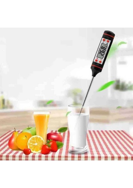 Termometre Digital Dt-03