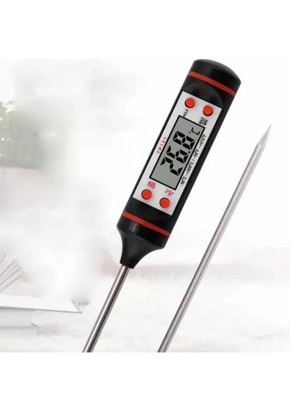 Termometre Digital Dt-03