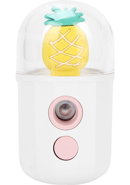 USB Şarjlı Yüz Nemlendirici Püskürtücü El Tipi Cilt Nemlendirici Mist (Yurt Dışından)