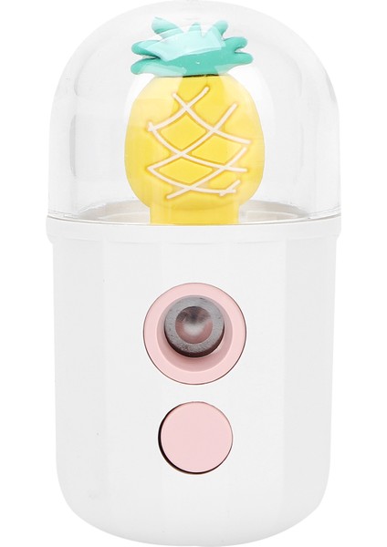 USB Şarjlı Yüz Nemlendirici Püskürtücü El Tipi Cilt Nemlendirici Mist (Yurt Dışından) fiyatları