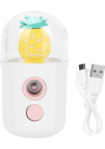 USB Şarjlı Yüz Nemlendirici Püskürtücü El Tipi Cilt Nemlendirici Mist (Yurt Dışından) indirimleri