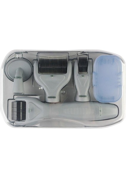 Titanyum Mikro Iğneli Rulolar Skar Çatlak Işareti Temizleme Cilt Bakım Seti Gri (Yurt Dışından)