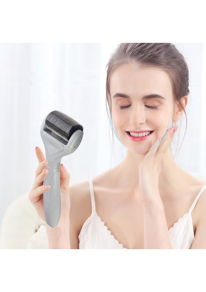 Titanyum Mikro Iğneli Rulolar Skar Çatlak Işareti Temizleme Cilt Bakım Seti Gri (Yurt Dışından) fırsatları