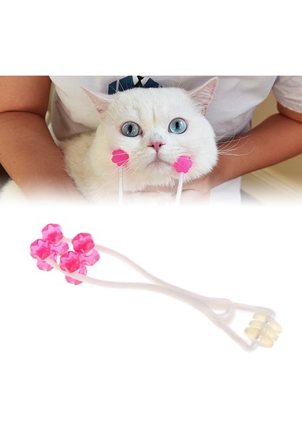 Kedı Masaj Aleti (Yurt Dışından) fiyatları