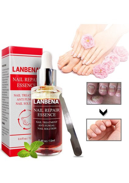 Ma Küçük Tırpanlı Tırnak Onarıcı Esans 12ML Salisilik Yumuşatıcı Bakım (Yurt Dışından) modelleri